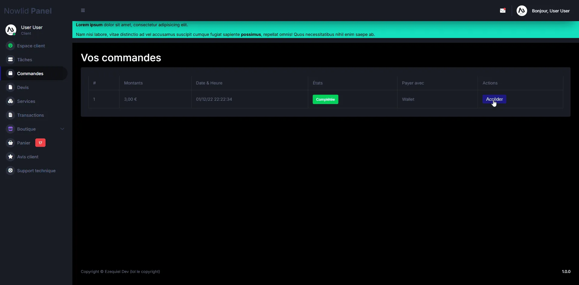 Capture 14 du projet Nowlid