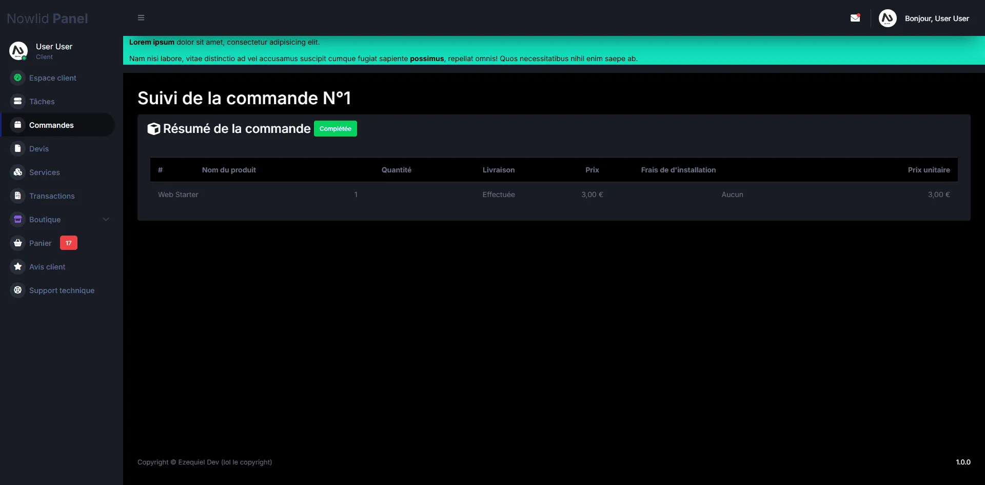 Capture 4 du projet Nowlid